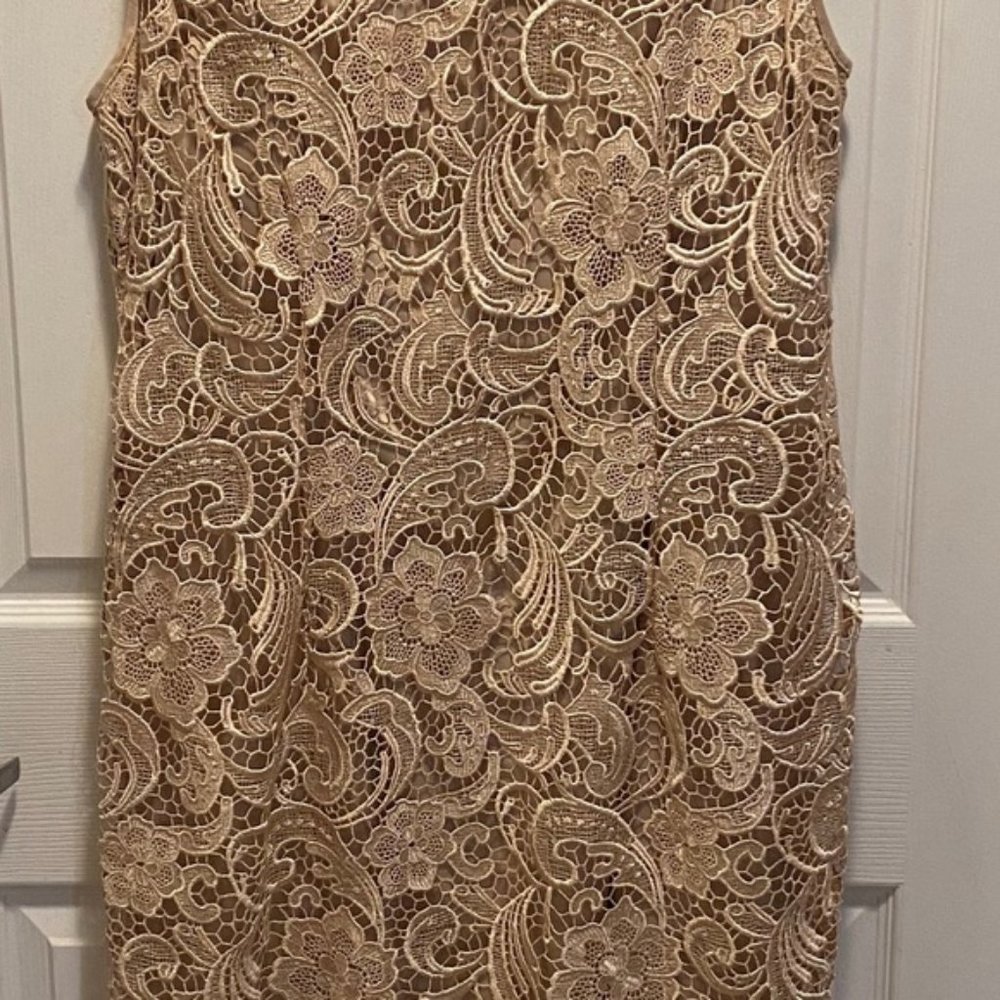 Adrianna Papell Champagne Lace dress 14W